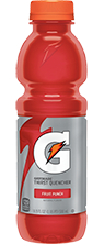 Gatorade Fruit Punch