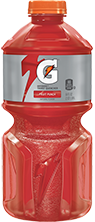 Gatorade Fruit Punch
