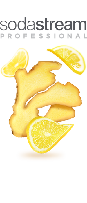 SodaStream Professional - Lemon Ginger