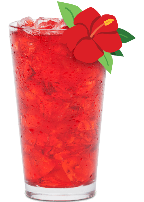 Viva Sol Aguas Frescas - Jamaica (Hibiscus)